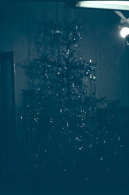 Vintage Christmas tree reflection in a frosted glass door, showcasing intricate ornaments and twinkling lights. Warm indoor g...