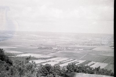 Aerial view of agricultural fields divided by narrow pathways, likely for irrigation or crop rows. Mid-20th century farming l...