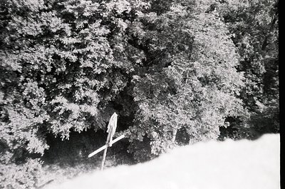 Close-up of a snow-covered pine branch with a single pinecone. The texture highlights winter forest details. Ideal for nature...