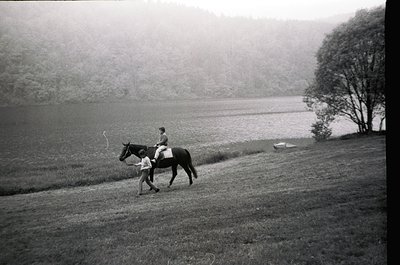 Two riders on horseback traverse a misty lakeside path, framed by dense forest. The woman leads a horse with a child seated b...