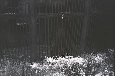 Black-and-white urban scene featuring a tall, vertical metal fence with horizontal bars. Snow or frost covers the ground and ...