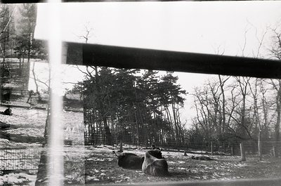 Vintage black-and-white photo of a rural landscape viewed through a train window, showing leafless trees, snow-covered ground...