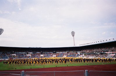 Massive stadium crowd with coordinated cheerleaders in yellow and black performing on field. Stadium seating filled with spec...