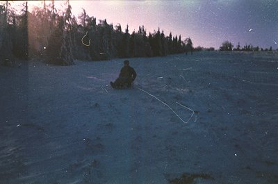 A lone figure sleds across a snow-covered field under a twilight sky, surrounded by dark coniferous trees. The individual wea...
