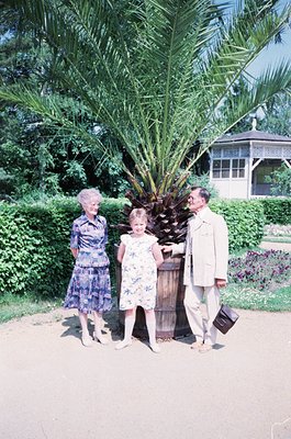 Family portrait in a lush garden setting, likely mid-20th century. Three individuals pose beside a tall palm tree and a woode...