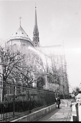 Gothic-style cathedral with twin spires and domed central tower, partially obscured by mist. Iron fence and bare trees frame ...