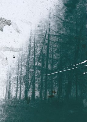 Vintage cyanotype print of a lone figure in a dense forest, silhouette against bare trees. The hazy, monochromatic tone sugge...