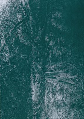 Monochrome aerial view of snow-covered forest and agricultural fields, likely captured via drone or vintage aircraft. Distinc...