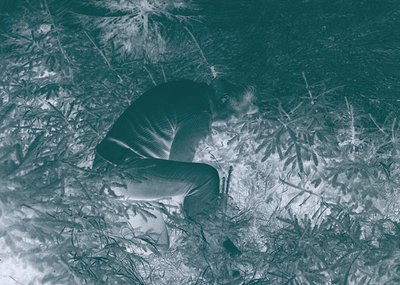 Monochrome winter scene of a person kneeling in snow-covered grass, surrounded by frost-laden branches. Clothing suggests mid...