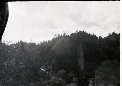 Black-and-white shot of dense forest with misty, layered hills under overcast skies. Composition suggests early photography o...