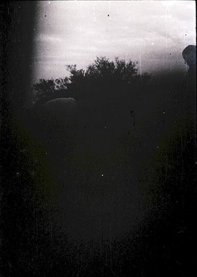 Vintage black-and-white photo showing a window view of dense foliage and a faintly visible structure. Heavy scratches and fad...