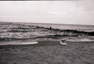 Black-and-white seaside shot featuring a rocky shoreline with gentle waves crashing onto pebbled beach. Wooden breakwater ext...
