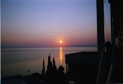 Sunset over a coastal horizon with golden orb reflecting on calm waters. Silhouetted cypress trees frame the right edge, whil...