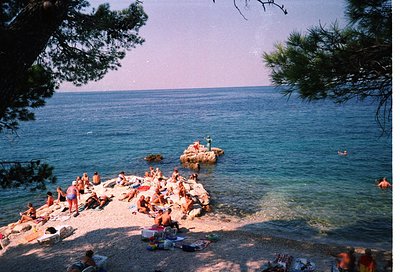 Vintage seaside scene with sunbathers on a sandy beach, framed by pine trees. Bright orange/red swimsuits dominate the crowd,...