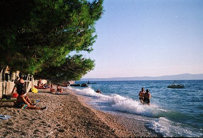 Sunlit seaside scene with pebbled shore and gentle waves. People swim, wade, and relax under a pine tree. Distant boats and c...