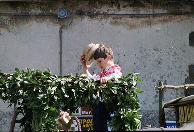 A young boy in a red-and-white checkered shirt adjusts a straw hat while holding lush green foliage, likely from a potted pla...