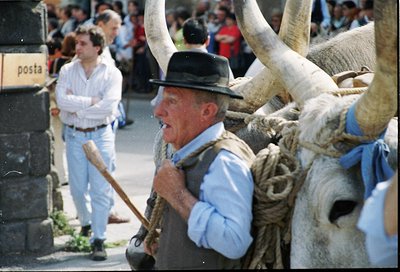 Man in traditional attire guides oxen with rope and wooden stick in urban setting. Crowd and "posta" sign suggest European ru...