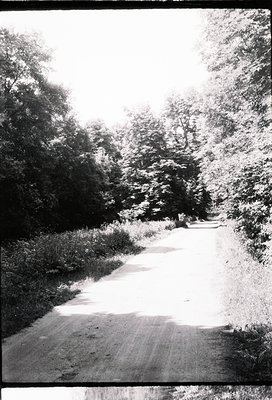 Mid-century black-and-white photo of a narrow, winding rural road flanked by dense foliage and mature trees. The asphalt surf...