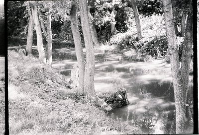 Vintage black-and-white shot of a shallow, rocky stream bordered by mature trees with curved trunks. Sunlight filters through...