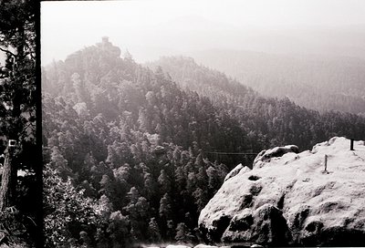 Snow-covered rocky outcrop with dense forest below, misty alpine backdrop. Black-and-white vintage photograph, likely 20th ce...
