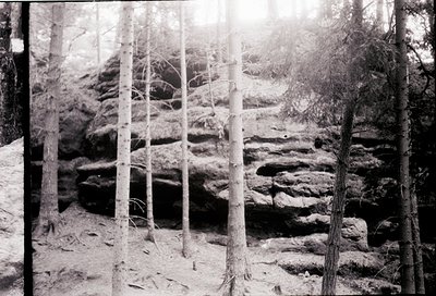 Vintage black-and-white forest scene featuring leafless trees framing rocky terrain with exposed strata. Sunlight filters thr...