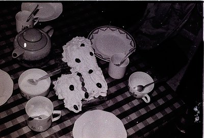 Mid-century dessert spread featuring layered sponge cake with jam filling, served on vintage crockery. White teapot, milk jug...