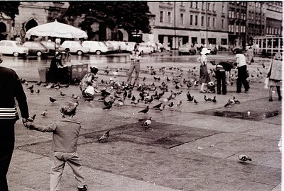 A young boy feeds pigeons in a mid-20th century European city square, surrounded by urban architecture and pedestrians. Class...