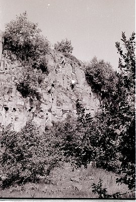 Vintage black-and-white shot of rugged limestone cliffs with dense foliage at base, likely Mediterranean or Balkan region. Ve...