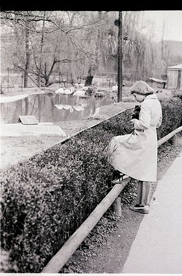 A woman in 1950s-era coat and hat sits alone on a low wooden fence beside a pond, gazing into the water. Surrounding her are ...