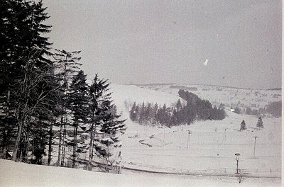 Black-and-white winter landscape featuring snow-covered slopes, sparse evergreen trees, and utility poles. Likely a mid-20th ...
