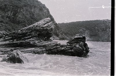 Vintage black-and-white coastal scene featuring jagged, stratified rock formations jutting from turbulent waters. Dense fores...