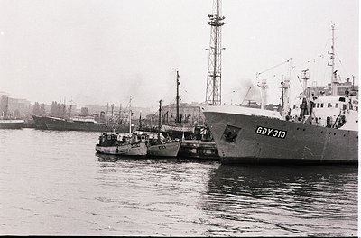 Vintage black-and-white port scene featuring three industrial fishing vessels docked side-by-side. The lead ship, marked "GDY...