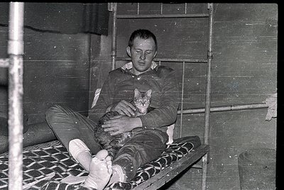Man in 1960s-70s indoor setting holds tabby cat on metal-framed bed with patterned blanket. Industrial scaffolding and brick ...