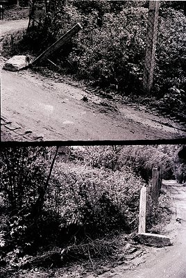 Black-and-white split-image of rural roadside scenes, likely mid-20th century. Top: Gravel road bordered by dense foliage, a ...
