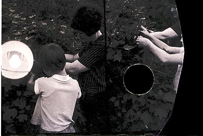 Vintage split-image photo showing two children interacting with nature through a glass surface, likely a greenhouse or conser...