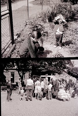 **Top Image:** Two children in 1960s-era striped and short-sleeve shirts play near a chain-link fence in a residential backya...