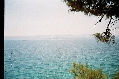 Vintage seascape shot with muted tones, featuring calm turquoise waters meeting a distant horizon. A pine branch frames the t...