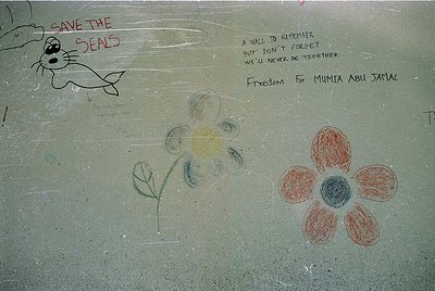 Graffiti on concrete wall: chalk-drawn messages and art. "Save the Seals" (cartoon seal), "A wall to remember we’ll never for...