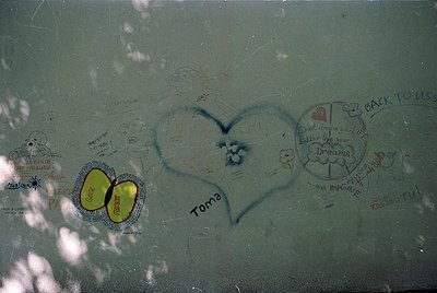 Graffiti-covered glass surface featuring handwritten messages, including a large heart with "Toma" inscribed, a yellow heart ...