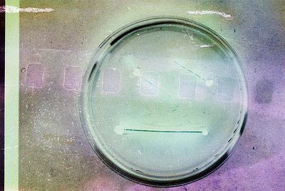 Vintage close-up of a scratched, circular **viewfinder lens** with faded "VARIO" branding, likely from a 1960s–1970s **35mm c...