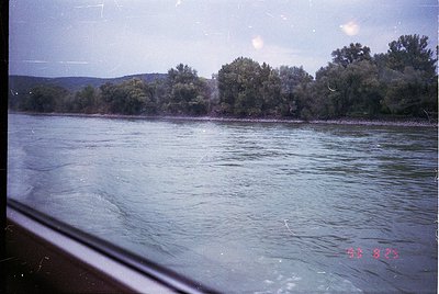 Vintage riverbank scene with dense greenery and rippling water, viewed from a vehicle window. Overcast sky and blurred foregr...