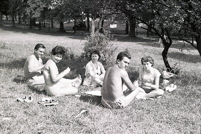 Five young adults in summer attire—men in swim trunks, women in sleeveless dresses—relax on grass under trees, mid-20th centu...