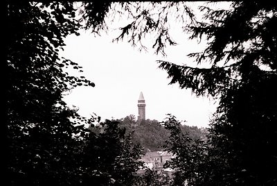 Black-and-white shot of a tower framed by dense foliage, likely a 19th-century lighthouse or observation tower. Symmetrical t...