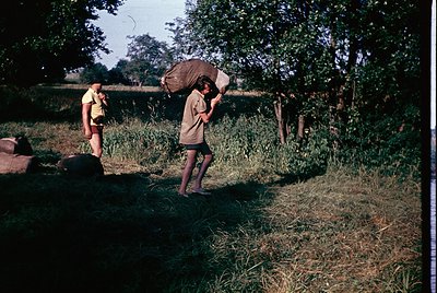 Vintage rural scene featuring two individuals carrying large sacks through a grassy field, likely for agricultural work. The ...