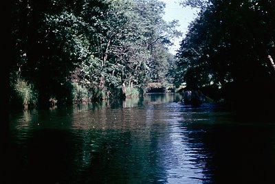 Flooded rural scene with submerged structures and dense foliage, likely post-storm or heavy rainfall. Partially submerged woo...