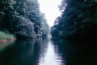 Serene river flanked by dense, reflective foliage—likely deciduous trees—creating a symmetrical mirror effect. Calm water sug...
