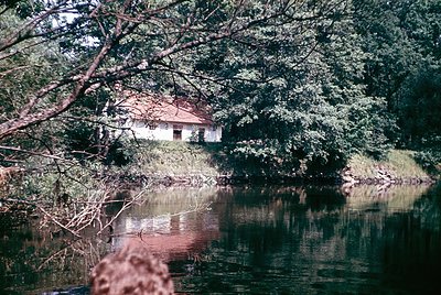 Rustic lakeside cabin nestled among dense foliage, partially obscured by overhanging branches. Reflections in calm water enha...