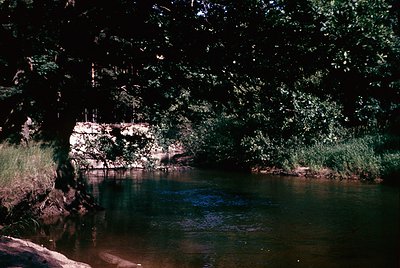 Vintage photograph of a rustic wooden dock extending into a serene body of water, partially obscured by overhanging foliage. ...