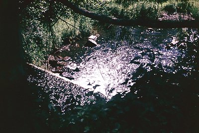 Vintage slide-style shot of shallow, sunlit riverbed with scattered rocks and fallen branches. Warm, diffused light creates p...