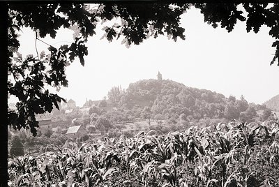 Black-and-white landscape featuring a misty hilltop with a prominent tower, framed by dense foliage. Rural village structures...